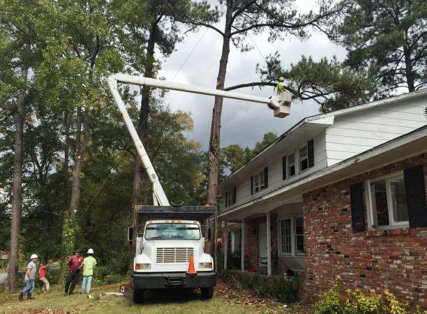 Best Commercial Tree Services  in Shepherdsville, KY